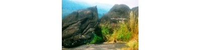 பால சுப்பிரமண்யா – உரவப்பாறா